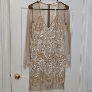 Lace and mesh mini dress